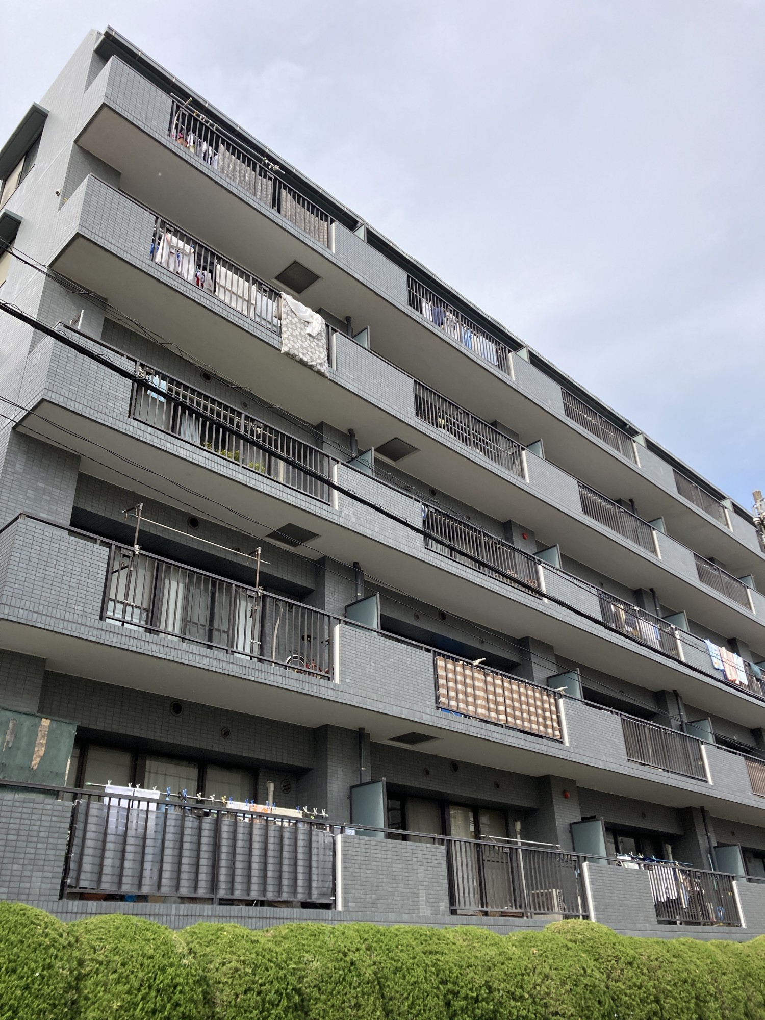 ベルシャトウ仲池上