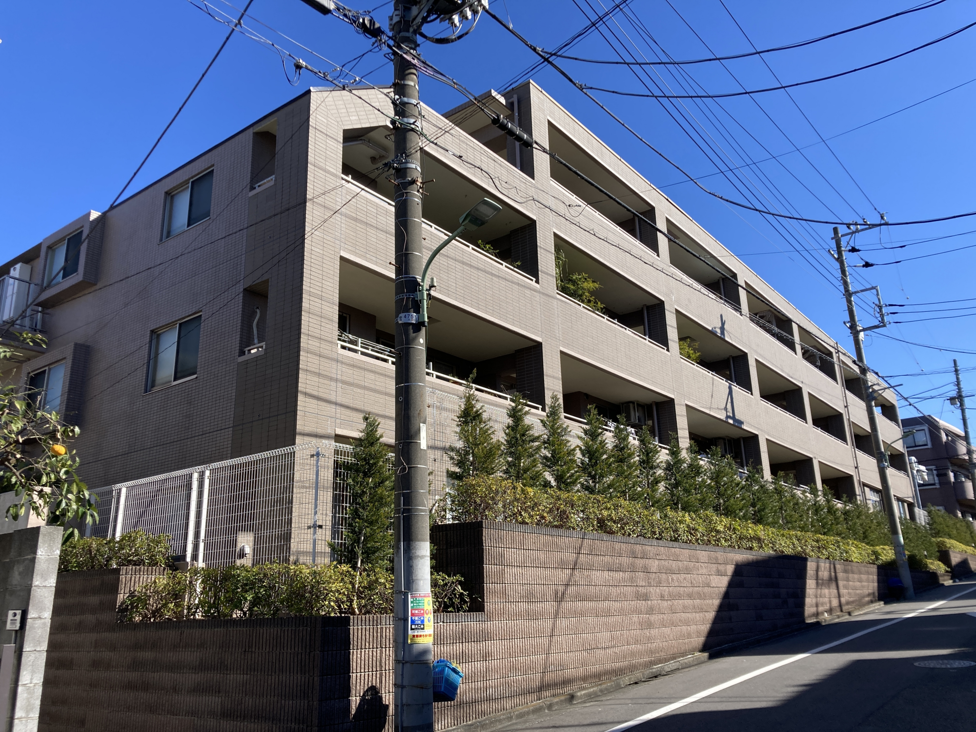 ダイアパレス上池台ブライトヒル2F